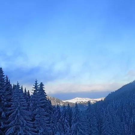 Petra Kopaonik