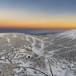 Petra * Kopaonik